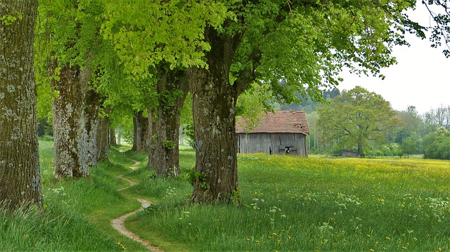 Pri Čiernom mori leží nádherná, turistami doposiaľ neobjavená krajina